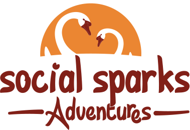 Social Sparks Logo